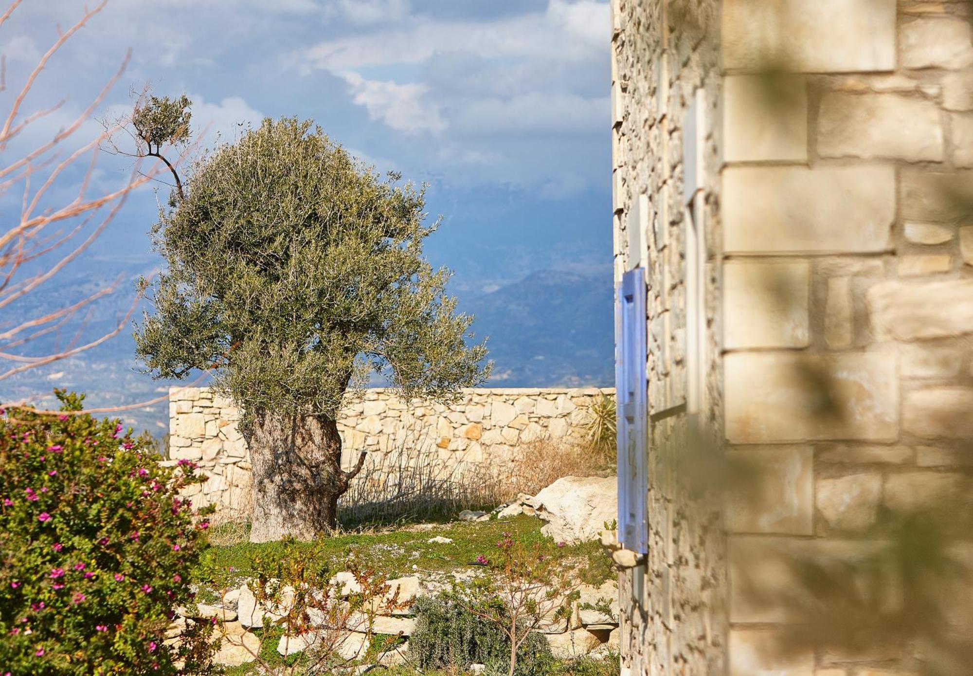 Orelia Cretan Deluxe Apartments カミラリ エクステリア 写真