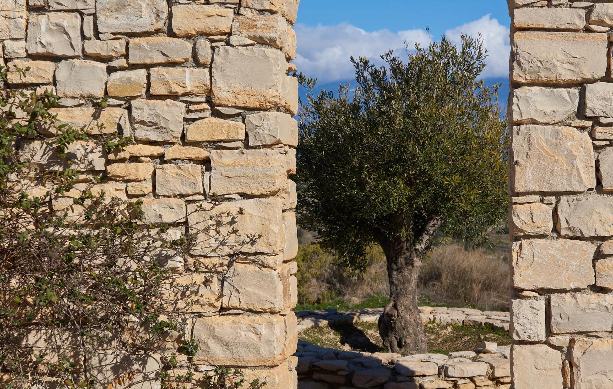 Orelia Cretan Deluxe Apartments カミラリ エクステリア 写真